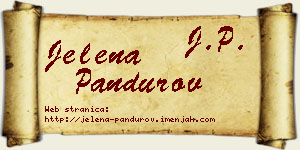 Jelena Pandurov vizit kartica